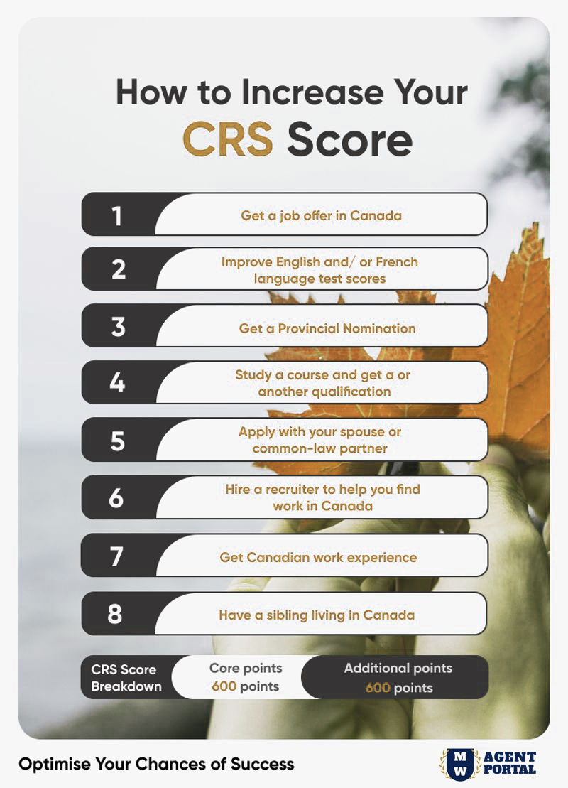 Infographic: How to Increase Your CRS Score | *CRS Score*